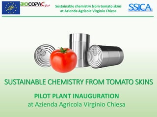 Sustainable chemistry from tomato skins
at Azienda Agricola Virginio Chiesa
SUSTAINABLE CHEMISTRY FROM TOMATO SKINS
PILOT PLANT INAUGURATION
at Azienda Agricola Virginio Chiesa
 