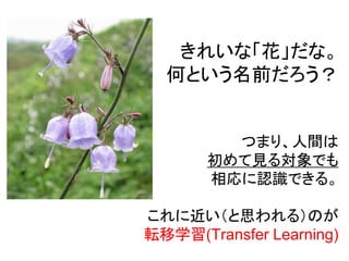 きれいな「花」だな。
  何という名前だろう？


         つまり、人間は
       初めて見る対象でも
       相応に認識できる。

これに近い（と思われる）のが
転移学習(Transfer Learning)
 
