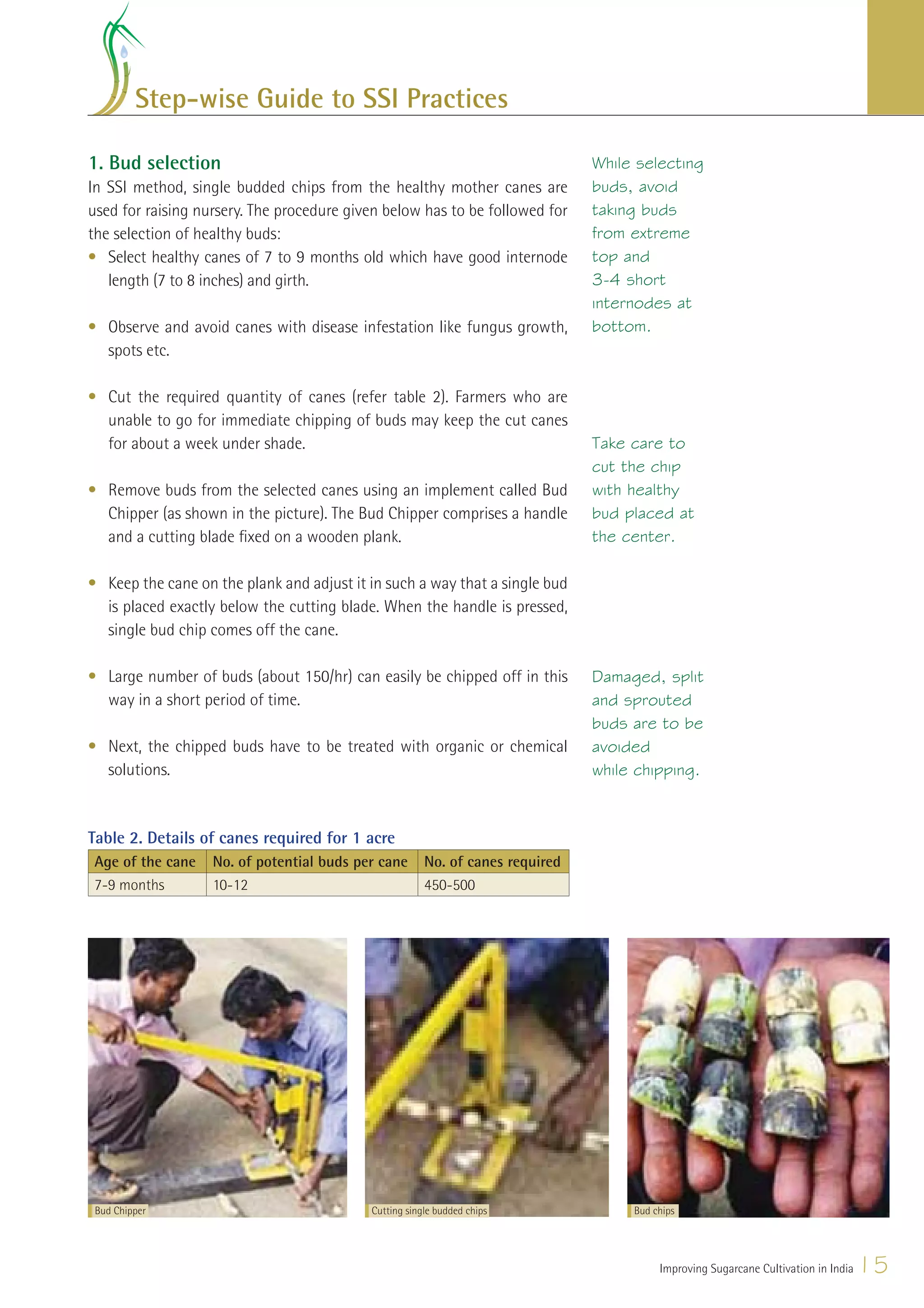 Step-wise Guide to SSI Practices

1. Bud selection                                                               While selecting
In SSI method, single budded chips from the healthy mother canes are           buds, avoid
used for raising nursery. The procedure given below has to be followed for     taking buds
the selection of healthy buds:                                                 from extreme
• Select healthy canes of 7 to 9 months old which have good internode          top and
   length (7 to 8 inches) and girth.                                           3-4 short
                                                                               internodes at
• Observe and avoid canes with disease infestation like fungus growth,         bottom.
  spots etc.

• Cut the required quantity of canes (refer table 2). Farmers who are
  unable to go for immediate chipping of buds may keep the cut canes
  for about a week under shade.                                                Take care to
                                                                               cut the chip
• Remove buds from the selected canes using an implement called Bud            with healthy
  Chipper (as shown in the picture). The Bud Chipper comprises a handle        bud placed at
  and a cutting blade ﬁxed on a wooden plank.                                  the center.

• Keep the cane on the plank and adjust it in such a way that a single bud
  is placed exactly below the cutting blade. When the handle is pressed,
  single bud chip comes off the cane.

• Large number of buds (about 150/hr) can easily be chipped off in this        Damaged, split
  way in a short period of time.                                               and sprouted
                                                                               buds are to be
• Next, the chipped buds have to be treated with organic or chemical           avoided
  solutions.                                                                   while chipping.


Table 2. Details of canes required for 1 acre
Age of the cane    No. of potential buds per cane      No. of canes required
7-9 months         10-12                               450-500




 Bud Chipper                               Cutting single budded chips              Bud chips




                                                                                         Improving Sugarcane Cultivation in India   15
 