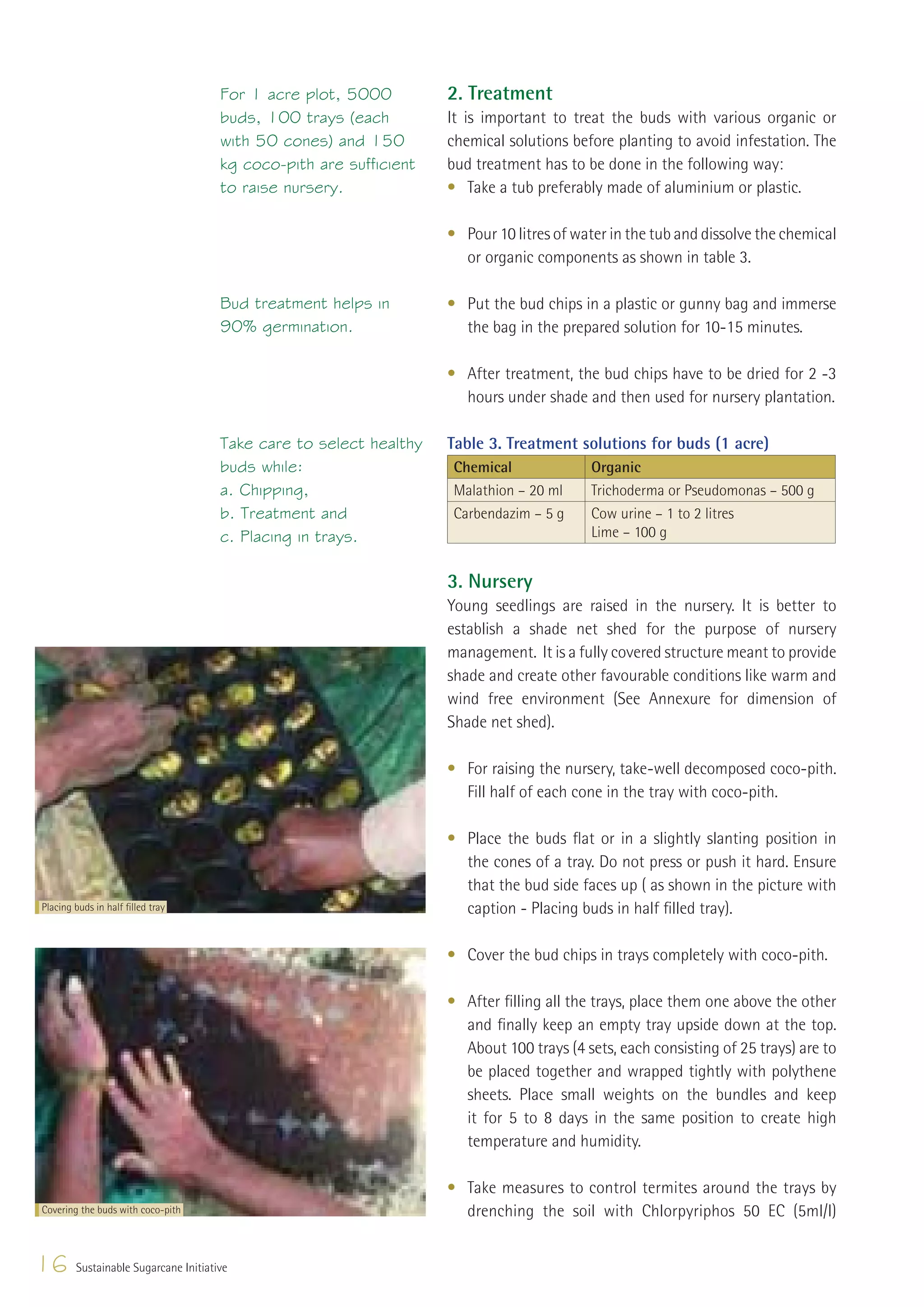 For 1 acre plot, 5000         2. Treatment
                                      buds, 100 trays (each         It is important to treat the buds with various organic or
                                      with 50 cones) and 150        chemical solutions before planting to avoid infestation. The
                                      kg coco-pith are sufficient   bud treatment has to be done in the following way:
                                      to raise nursery.             • Take a tub preferably made of aluminium or plastic.

                                                                    • Pour 10 litres of water in the tub and dissolve the chemical
                                                                      or organic components as shown in table 3.

                                      Bud treatment helps in        • Put the bud chips in a plastic or gunny bag and immerse
                                      90% germination.                the bag in the prepared solution for 10-15 minutes.

                                                                    • After treatment, the bud chips have to be dried for 2 -3
                                                                      hours under shade and then used for nursery plantation.

                                      Take care to select healthy   Table 3. Treatment solutions for buds (1 acre)
                                      buds while:                    Chemical             Organic
                                      a. Chipping,                   Malathion – 20 ml    Trichoderma or Pseudomonas – 500 g
                                      b. Treatment and               Carbendazim – 5 g    Cow urine – 1 to 2 litres
                                      c. Placing in trays.                                Lime – 100 g


                                                                    3. Nursery
                                                                    Young seedlings are raised in the nursery. It is better to
                                                                    establish a shade net shed for the purpose of nursery
                                                                    management. It is a fully covered structure meant to provide
                                                                    shade and create other favourable conditions like warm and
                                                                    wind free environment (See Annexure for dimension of
                                                                    Shade net shed).

                                                                    • For raising the nursery, take-well decomposed coco-pith.
                                                                      Fill half of each cone in the tray with coco-pith.

                                                                    • Place the buds ﬂat or in a slightly slanting position in
                                                                      the cones of a tray. Do not press or push it hard. Ensure
                                                                      that the bud side faces up ( as shown in the picture with
Placing buds in half ﬁlled tray                                       caption - Placing buds in half ﬁlled tray).

                                                                    • Cover the bud chips in trays completely with coco-pith.

                                                                    • After ﬁlling all the trays, place them one above the other
                                                                      and ﬁnally keep an empty tray upside down at the top.
                                                                      About 100 trays (4 sets, each consisting of 25 trays) are to
                                                                      be placed together and wrapped tightly with polythene
                                                                      sheets. Place small weights on the bundles and keep
                                                                      it for 5 to 8 days in the same position to create high
                                                                      temperature and humidity.

                                                                    • Take measures to control termites around the trays by
Covering the buds with coco-pith                                      drenching the soil with Chlorpyriphos 50 EC (5ml/l)


16      Sustainable Sugarcane Initiative
 