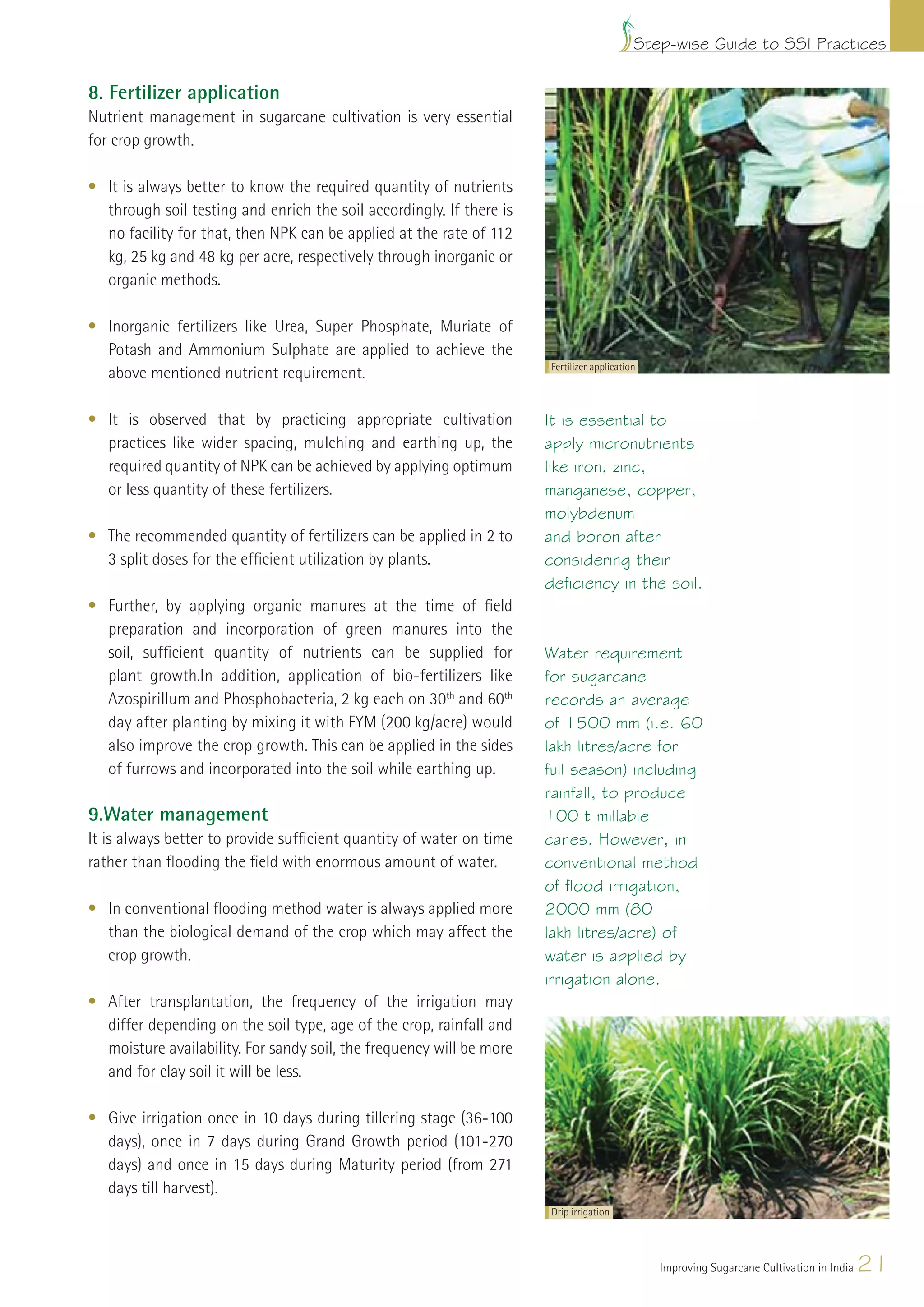 Step-wise Guide to SSI Practices

8. Fertilizer application
Nutrient management in sugarcane cultivation is very essential
for crop growth.

• It is always better to know the required quantity of nutrients
  through soil testing and enrich the soil accordingly. If there is
  no facility for that, then NPK can be applied at the rate of 112
  kg, 25 kg and 48 kg per acre, respectively through inorganic or
  organic methods.

• Inorganic fertilizers like Urea, Super Phosphate, Muriate of
  Potash and Ammonium Sulphate are applied to achieve the
                                                                      Fertilizer application
  above mentioned nutrient requirement.

• It is observed that by practicing appropriate cultivation           It is essential to
  practices like wider spacing, mulching and earthing up, the         apply micronutrients
  required quantity of NPK can be achieved by applying optimum        like iron, zinc,
  or less quantity of these fertilizers.                              manganese, copper,
                                                                      molybdenum
• The recommended quantity of fertilizers can be applied in 2 to      and boron after
  3 split doses for the efﬁcient utilization by plants.               considering their
                                                                      deficiency in the soil.
• Further, by applying organic manures at the time of ﬁeld
  preparation and incorporation of green manures into the
  soil, sufﬁcient quantity of nutrients can be supplied for           Water requirement
  plant growth.In addition, application of bio-fertilizers like       for sugarcane
  Azospirillum and Phosphobacteria, 2 kg each on 30th and 60th        records an average
  day after planting by mixing it with FYM (200 kg/acre) would        of 1500 mm (i.e. 60
  also improve the crop growth. This can be applied in the sides      lakh litres/acre for
  of furrows and incorporated into the soil while earthing up.        full season) including
                                                                      rainfall, to produce
9.Water management                                                    100 t millable
It is always better to provide sufﬁcient quantity of water on time    canes. However, in
rather than ﬂooding the ﬁeld with enormous amount of water.           conventional method
                                                                      of flood irrigation,
• In conventional ﬂooding method water is always applied more         2000 mm (80
  than the biological demand of the crop which may affect the         lakh litres/acre) of
  crop growth.                                                        water is applied by
                                                                      irrigation alone.
• After transplantation, the frequency of the irrigation may
  differ depending on the soil type, age of the crop, rainfall and
  moisture availability. For sandy soil, the frequency will be more
  and for clay soil it will be less.

• Give irrigation once in 10 days during tillering stage (36-100
  days), once in 7 days during Grand Growth period (101-270
  days) and once in 15 days during Maturity period (from 271
  days till harvest).
                                                                      Drip irrigation




                                                                                               Improving Sugarcane Cultivation in India   21
 