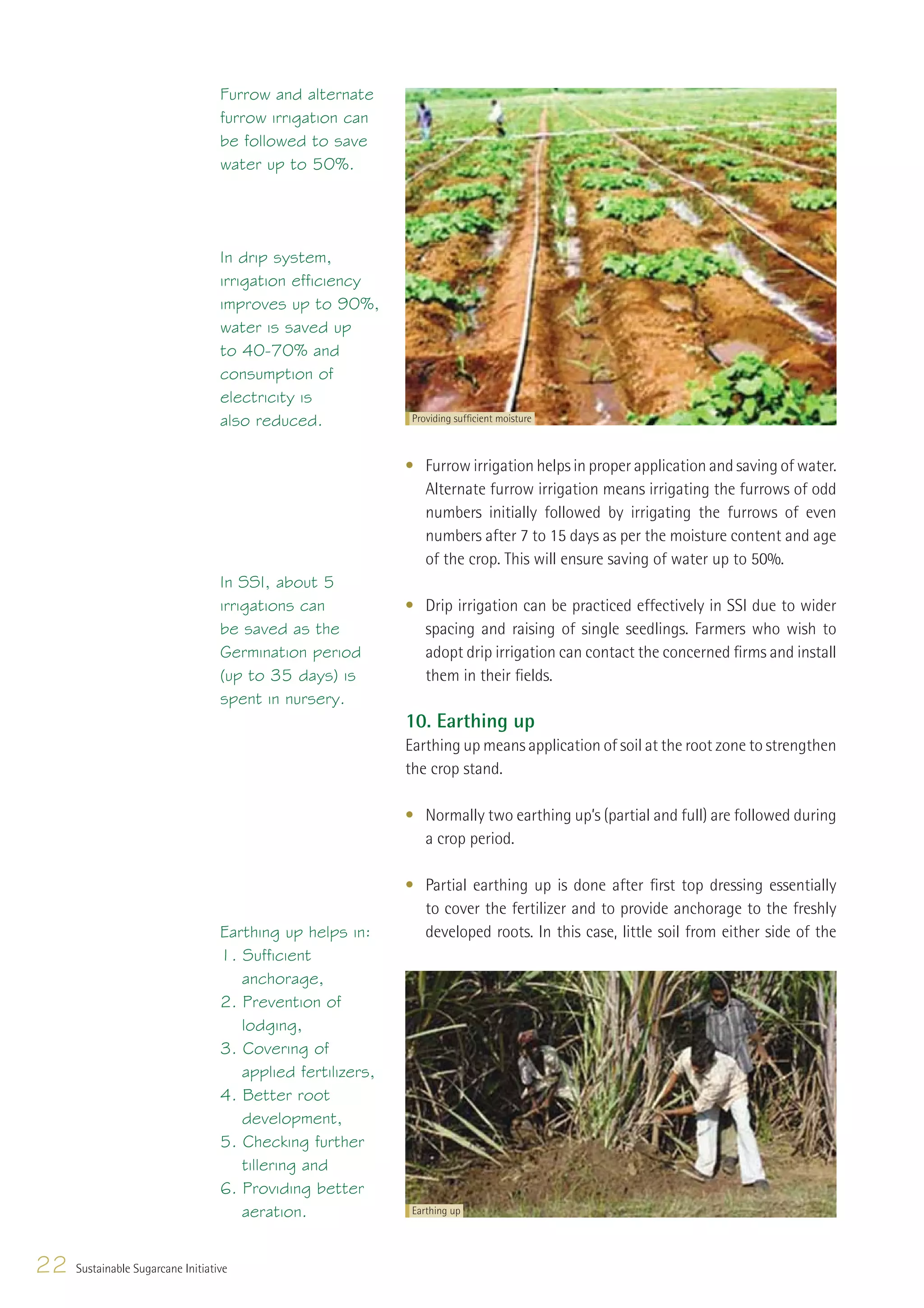 Furrow and alternate
                                   furrow irrigation can
                                   be followed to save
                                   water up to 50%.




                                   In drip system,
                                   irrigation efficiency
                                   improves up to 90%,
                                   water is saved up
                                   to 40-70% and
                                   consumption of
                                   electricity is
                                   also reduced.              Providing sufﬁcient moisture



                                                             • Furrow irrigation helps in proper application and saving of water.
                                                               Alternate furrow irrigation means irrigating the furrows of odd
                                                               numbers initially followed by irrigating the furrows of even
                                                               numbers after 7 to 15 days as per the moisture content and age
                                                               of the crop. This will ensure saving of water up to 50%.
                                   In SSI, about 5
                                   irrigations can           • Drip irrigation can be practiced effectively in SSI due to wider
                                   be saved as the             spacing and raising of single seedlings. Farmers who wish to
                                   Germination period          adopt drip irrigation can contact the concerned ﬁrms and install
                                   (up to 35 days) is          them in their ﬁelds.
                                   spent in nursery.
                                                             10. Earthing up
                                                             Earthing up means application of soil at the root zone to strengthen
                                                             the crop stand.

                                                             • Normally two earthing up’s (partial and full) are followed during
                                                               a crop period.

                                                             • Partial earthing up is done after ﬁrst top dressing essentially
                                                               to cover the fertilizer and to provide anchorage to the freshly
                                   Earthing up helps in:       developed roots. In this case, little soil from either side of the
                                   1. Sufficient
                                      anchorage,
                                   2. Prevention of
                                      lodging,
                                   3. Covering of
                                      applied fertilizers,
                                   4. Better root
                                      development,
                                   5. Checking further
                                      tillering and
                                   6. Providing better
                                      aeration.               Earthing up




22   Sustainable Sugarcane Initiative
 
