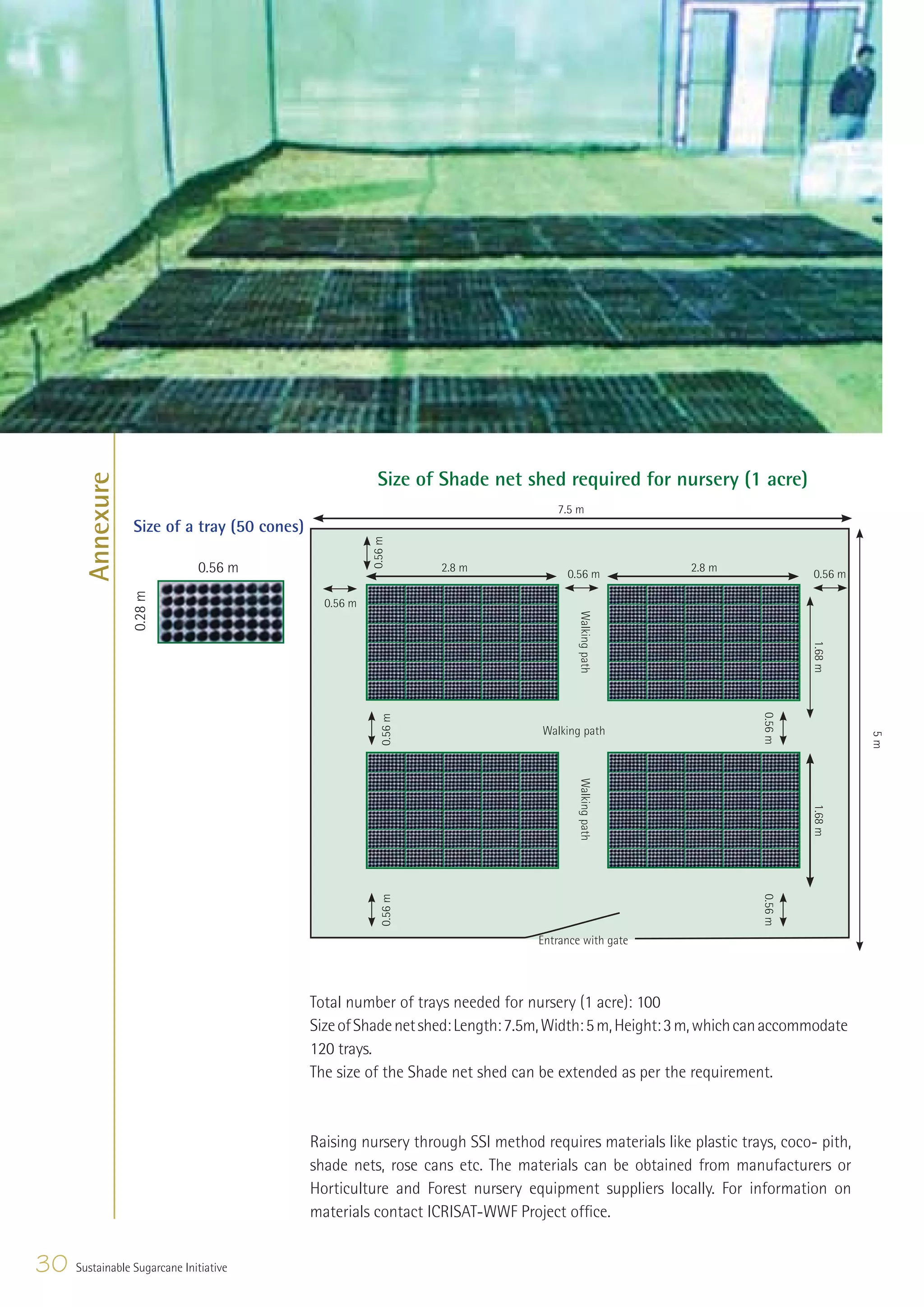 Annexure




                                                           Size of Shade net shed required for nursery (1 acre)
                                                                                    7.5 m
                  Size of a tray (50 cones)
                                                         0.56 m




                              0.56 m                                  2.8 m
                                                                                      0.56 m
                                                                                                         2.8 m
                                                                                                                              0.56 m
                  0.28 m




                                                0.56 m
                                                                                         Walking path




                                                                                                                              1.68 m
                                                                                                                     0.56 m
                                                             0.56 m




                                                                                  Walking path




                                                                                                                                       5m
                                                                                         Walking path




                                                                                                                              1.68 m
                                                             0.56 m




                                                                                                                     0.56 m




                                                                                 Entrance with gate




                                              Total number of trays needed for nursery (1 acre): 100
                                              Size of Shade net shed: Length: 7.5m, Width: 5 m, Height: 3 m, which can accommodate
                                              120 trays.
                                              The size of the Shade net shed can be extended as per the requirement.



                                              Raising nursery through SSI method requires materials like plastic trays, coco- pith,
                                              shade nets, rose cans etc. The materials can be obtained from manufacturers or
                                              Horticulture and Forest nursery equipment suppliers locally. For information on
                                              materials contact ICRISAT-WWF Project ofﬁce.


30   Sustainable Sugarcane Initiative
 