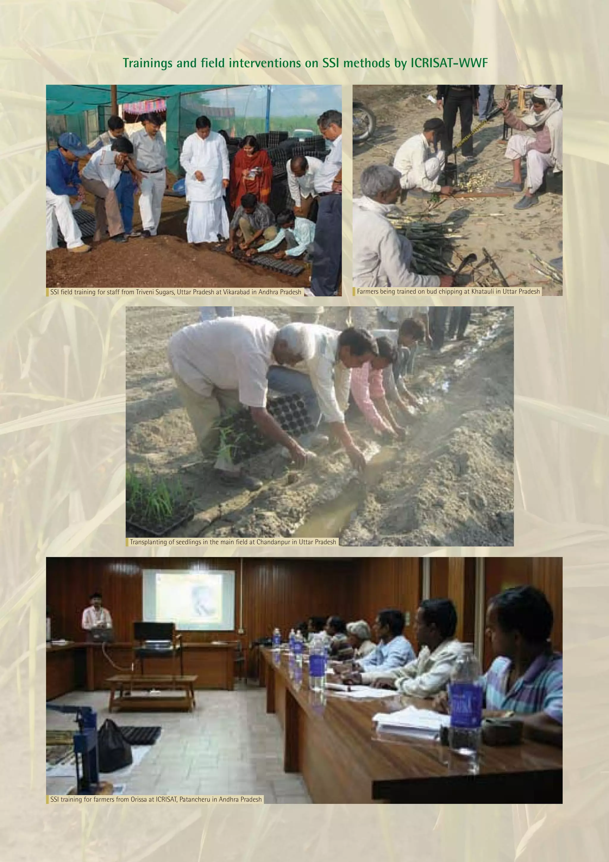 Trainings and ﬁeld interventions on SSI methods by ICRISAT-WWF




SSI ﬁeld training for staff from Triveni Sugars, Uttar Pradesh at Vikarabad in Andhra Pradesh             Farmers being trained on bud chipping at Khatauli in Uttar Pradesh




                             Transplanting of seedlings in the main ﬁeld at Chandanpur in Uttar Pradesh




SSI training for farmers from Orissa at ICRISAT, Patancheru in Andhra Pradesh
 