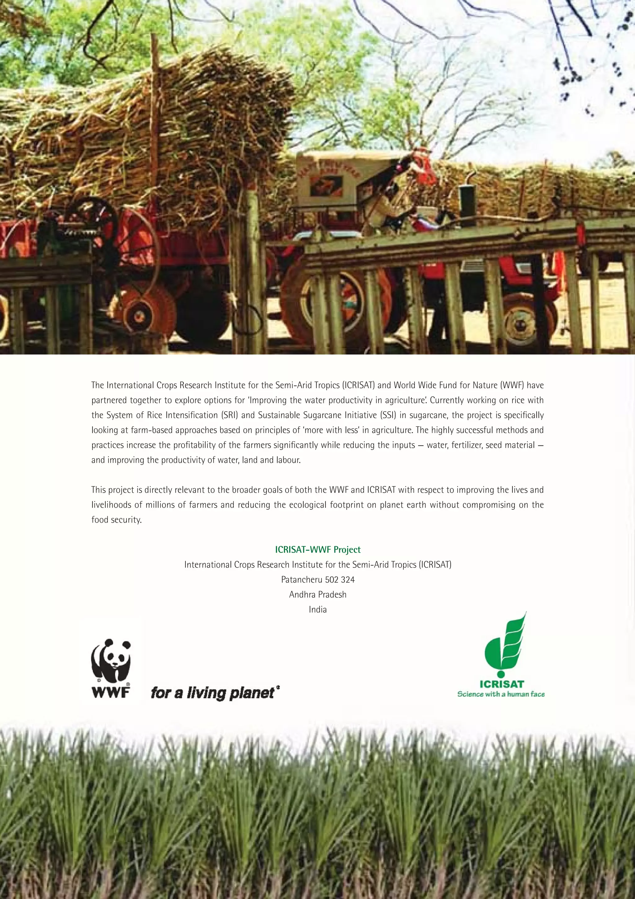 The International Crops Research Institute for the Semi-Arid Tropics (ICRISAT) and World Wide Fund for Nature (WWF) have
                     partnered together to explore options for ‘Improving the water productivity in agriculture’. Currently working on rice with
                     the System of Rice Intensiﬁcation (SRI) and Sustainable Sugarcane Initiative (SSI) in sugarcane, the project is speciﬁcally
                     looking at farm-based approaches based on principles of ‘more with less’ in agriculture. The highly successful methods and
                     practices increase the proﬁtability of the farmers signiﬁcantly while reducing the inputs — water, fertilizer, seed material —
                     and improving the productivity of water, land and labour.


                     This project is directly relevant to the broader goals of both the WWF and ICRISAT with respect to improving the lives and
                     livelihoods of millions of farmers and reducing the ecological footprint on planet earth without compromising on the
                     food security.


                                                                        ICRISAT-WWF Project
                                              International Crops Research Institute for the Semi-Arid Tropics (ICRISAT)
                                                                         Patancheru 502 324
                                                                            Andhra Pradesh
                                                                                 India




ii   Sustainable Sugarcane Initiative
 