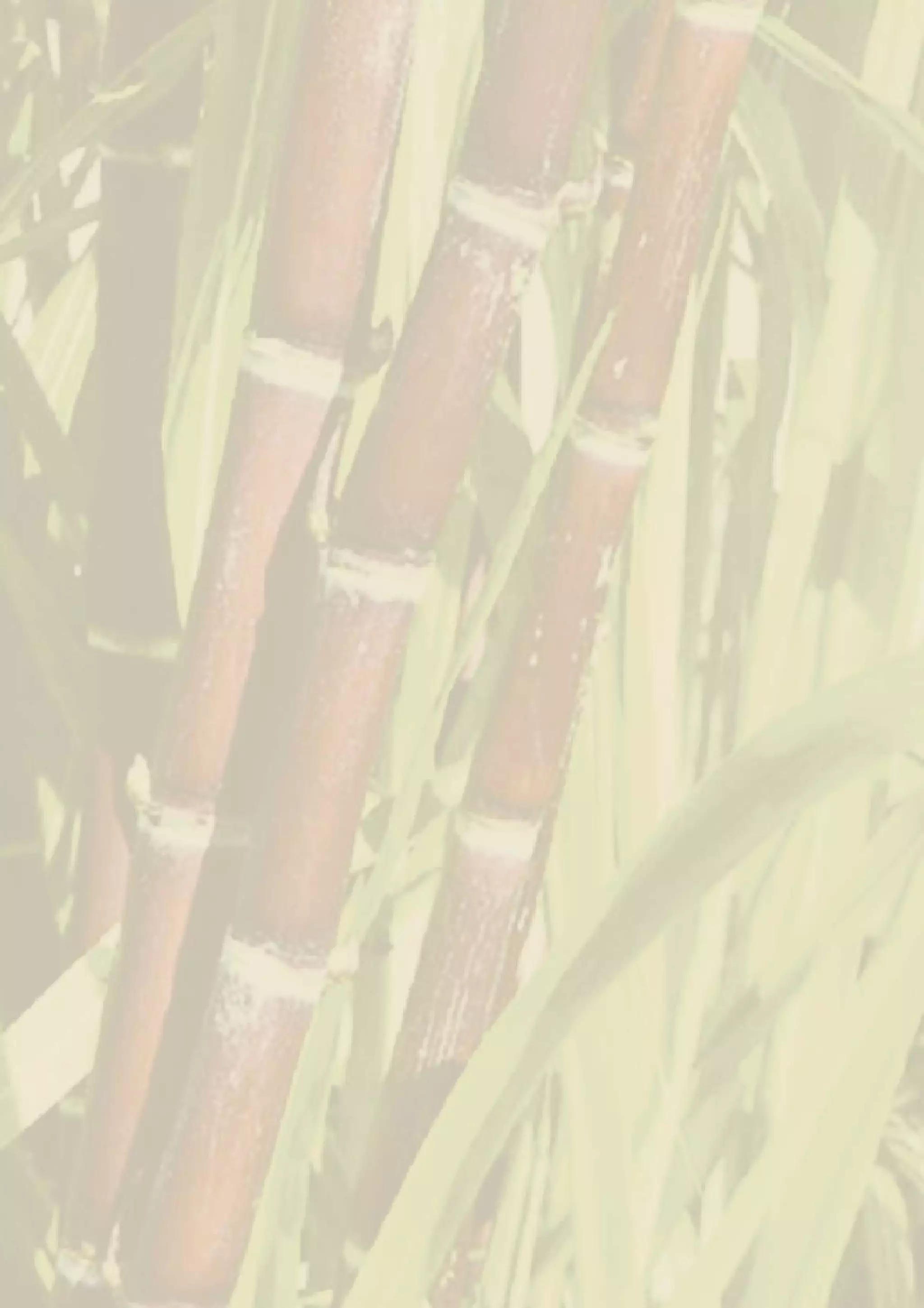 2   Sustainable Sugarcane Initiative
 