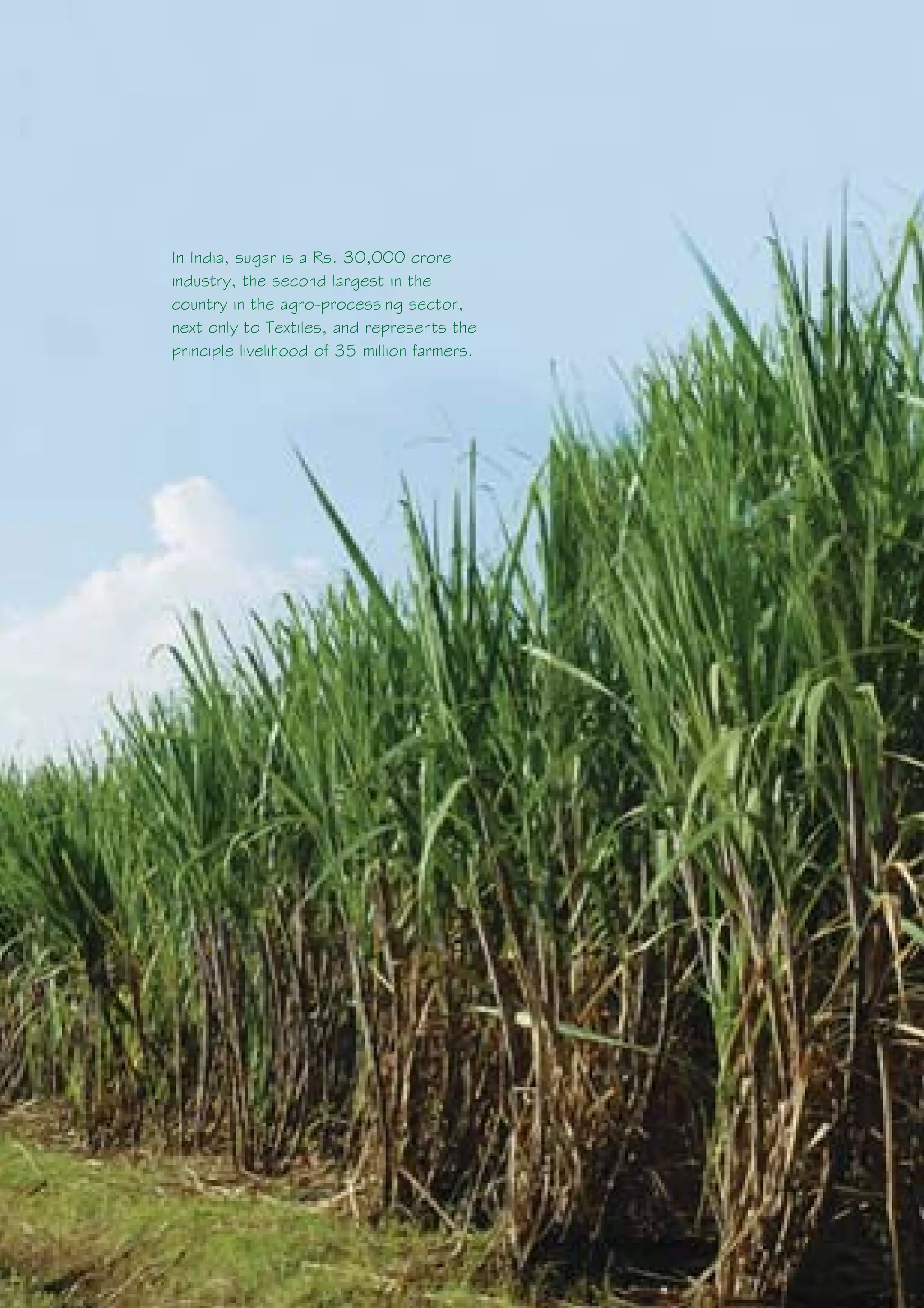 In India, sugar is a Rs. 30,000 crore
                           industry, the second largest in the
                           country in the agro-processing sector,
                           next only to Textiles, and represents the
                           principle livelihood of 35 million farmers.




6   Sustainable Sugarcane Initiative
 