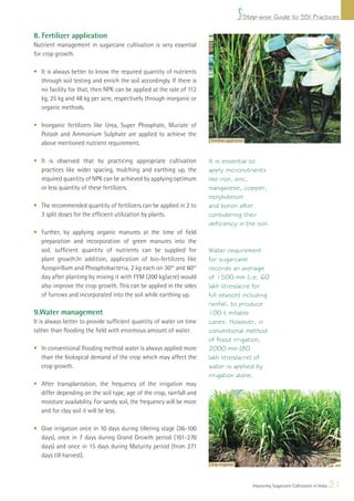 Step-wise Guide to SSI Practices

8. Fertilizer application
Nutrient management in sugarcane cultivation is very essential
for crop growth.

• It is always better to know the required quantity of nutrients
  through soil testing and enrich the soil accordingly. If there is
  no facility for that, then NPK can be applied at the rate of 112
  kg, 25 kg and 48 kg per acre, respectively through inorganic or
  organic methods.

• Inorganic fertilizers like Urea, Super Phosphate, Muriate of
  Potash and Ammonium Sulphate are applied to achieve the
                                                                      Fertilizer application
  above mentioned nutrient requirement.

• It is observed that by practicing appropriate cultivation           It is essential to
  practices like wider spacing, mulching and earthing up, the         apply micronutrients
  required quantity of NPK can be achieved by applying optimum        like iron, zinc,
  or less quantity of these fertilizers.                              manganese, copper,
                                                                      molybdenum
• The recommended quantity of fertilizers can be applied in 2 to      and boron after
  3 split doses for the efﬁcient utilization by plants.               considering their
                                                                      deficiency in the soil.
• Further, by applying organic manures at the time of ﬁeld
  preparation and incorporation of green manures into the
  soil, sufﬁcient quantity of nutrients can be supplied for           Water requirement
  plant growth.In addition, application of bio-fertilizers like       for sugarcane
  Azospirillum and Phosphobacteria, 2 kg each on 30th and 60th        records an average
  day after planting by mixing it with FYM (200 kg/acre) would        of 1500 mm (i.e. 60
  also improve the crop growth. This can be applied in the sides      lakh litres/acre for
  of furrows and incorporated into the soil while earthing up.        full season) including
                                                                      rainfall, to produce
9.Water management                                                    100 t millable
It is always better to provide sufﬁcient quantity of water on time    canes. However, in
rather than ﬂooding the ﬁeld with enormous amount of water.           conventional method
                                                                      of flood irrigation,
• In conventional ﬂooding method water is always applied more         2000 mm (80
  than the biological demand of the crop which may affect the         lakh litres/acre) of
  crop growth.                                                        water is applied by
                                                                      irrigation alone.
• After transplantation, the frequency of the irrigation may
  differ depending on the soil type, age of the crop, rainfall and
  moisture availability. For sandy soil, the frequency will be more
  and for clay soil it will be less.

• Give irrigation once in 10 days during tillering stage (36-100
  days), once in 7 days during Grand Growth period (101-270
  days) and once in 15 days during Maturity period (from 271
  days till harvest).
                                                                      Drip irrigation




                                                                                               Improving Sugarcane Cultivation in India   21
 