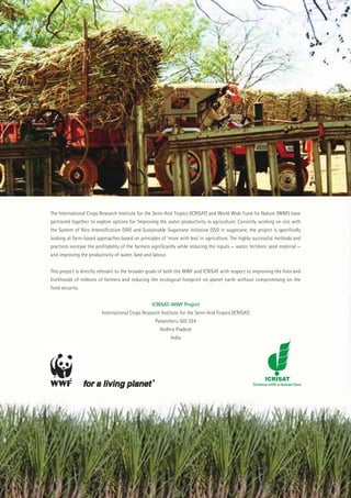 The International Crops Research Institute for the Semi-Arid Tropics (ICRISAT) and World Wide Fund for Nature (WWF) have
                     partnered together to explore options for ‘Improving the water productivity in agriculture’. Currently working on rice with
                     the System of Rice Intensiﬁcation (SRI) and Sustainable Sugarcane Initiative (SSI) in sugarcane, the project is speciﬁcally
                     looking at farm-based approaches based on principles of ‘more with less’ in agriculture. The highly successful methods and
                     practices increase the proﬁtability of the farmers signiﬁcantly while reducing the inputs — water, fertilizer, seed material —
                     and improving the productivity of water, land and labour.


                     This project is directly relevant to the broader goals of both the WWF and ICRISAT with respect to improving the lives and
                     livelihoods of millions of farmers and reducing the ecological footprint on planet earth without compromising on the
                     food security.


                                                                        ICRISAT-WWF Project
                                              International Crops Research Institute for the Semi-Arid Tropics (ICRISAT)
                                                                         Patancheru 502 324
                                                                            Andhra Pradesh
                                                                                 India




ii   Sustainable Sugarcane Initiative
 