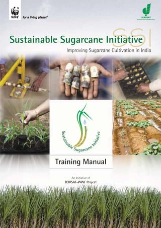 Background




Sustainable Sugarcane Initiative                        SSI
                   Improving Sugarcane Cultivation in India
            S ust ai




                                                 iv e
                                               ti a t
               na




                                               ni




                       bl                    I
                            eS            ne
                               u g a rc a


          Training Manual
                            An Initiative of
                 ICRISAT-WWF Project




                                                        Improving Sugarcane Cultivation in India   iii
 
