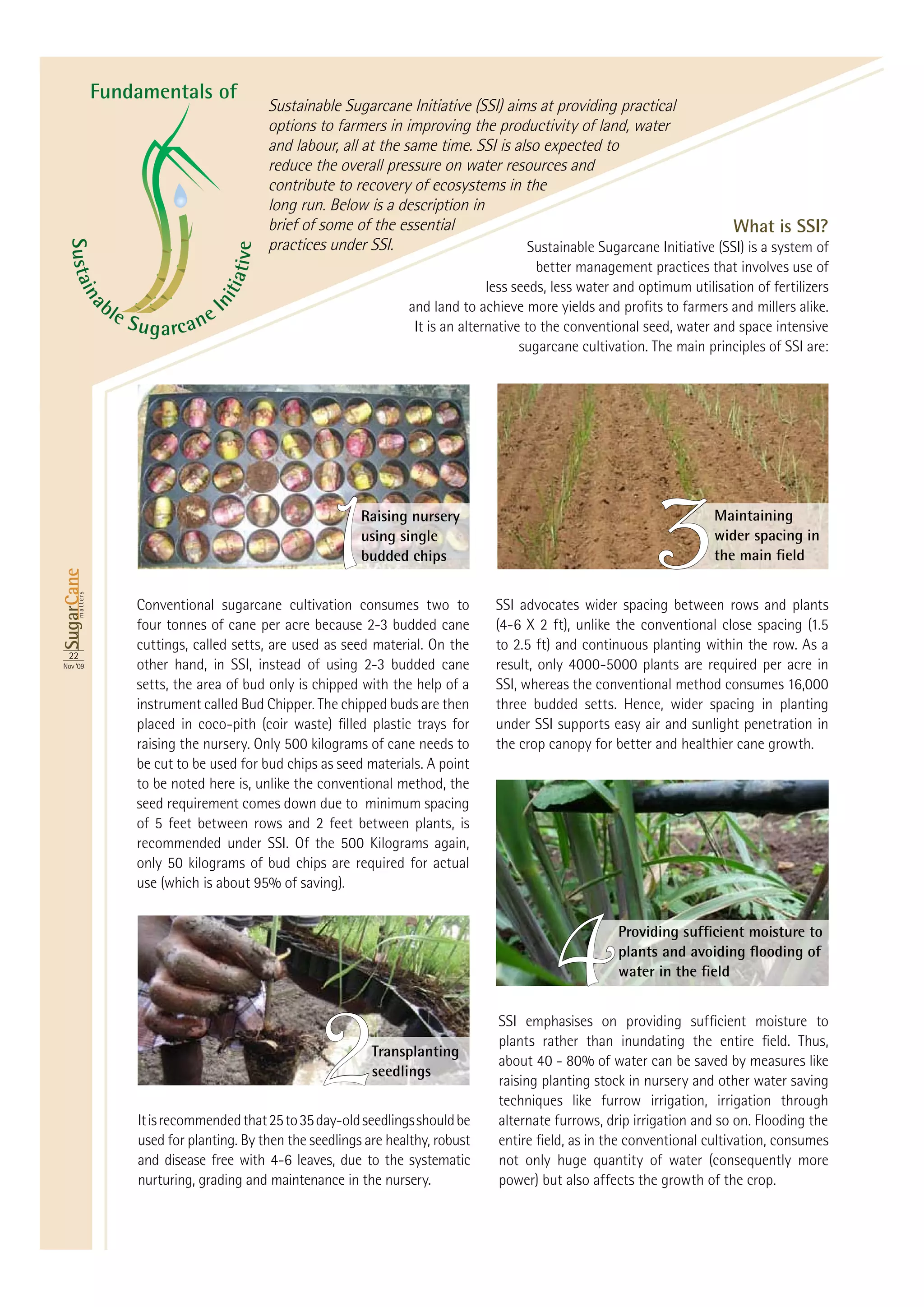 Fundamentals of
                                                 Sustainable Sugarcane Initiative (SSI) aims at providing practical
                                                 options to farmers in improving the productivity of land, water
                                                 and labour, all at the same time. SSI is also expected to
                                                 reduce the overall pressure on water resources and
                                                 contribute to recovery of ecosystems in the
                                                 long run. Below is a description in
                                                 brief of some of the essential                                                What is SSI?
                                                 practices under SSI.
 S ust ai




                                          iv e                                              Sustainable Sugarcane Initiative (SSI) is a system of
                                                                                                 better management practices that involves use of
                                        ti a t

                                                                                        less seeds, less water and optimum utilisation of fertilizers
       na




                                      ni



                bl
                     eS              eI
                        u g a rc a n                                      It is an alternative to the conventional seed, water and space intensive
                                                                                              sugarcane cultivation. The main principles of SSI are:




                                                           1     Raising nursery
                                                                 using single
                                                                 budded chips                                         3         Maintaining
                                                                                                                                wider spacing in
SugarCane
      matters




                        Conventional sugarcane cultivation consumes two to               SSI advocates wider spacing between rows and plants

                        cuttings, called setts, are used as seed material. On the
 22
 22
Nov ‘09
Nov ‘09

                        setts, the area of bud only is chipped with the help of a
                        instrument called Bud Chipper. The chipped buds are then         three budded setts. Hence, wider spacing in planting
                                                                                         under SSI supports easy air and sunlight penetration in
                                                                                         the crop canopy for better and healthier cane growth.
                        be cut to be used for bud chips as seed materials. A point
                        to be noted here is, unlike the conventional method, the
                        seed requirement comes down due to minimum spacing




                                                                                                    4
                                                          2        Transplanting
                                                                   seedlings
                                                                                          raising planting stock in nursery and other water saving
                                                                                          techniques like furrow irrigation, irrigation through
                                                                                          alternate furrows, drip irrigation and so on. Flooding the
                         used for planting. By then the seedlings are healthy, robust
                                                                                          not only huge quantity of water (consequently more
                         nurturing, grading and maintenance in the nursery.               power) but also affects the growth of the crop.
 
