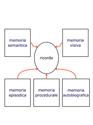 ricordo
memoria
semantica
memoria
episodica
memoria
visiva
memoria
procedurale
memoria
autobiografica
 