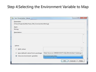 Step 4:Selecting the Environment Variable to Map

 