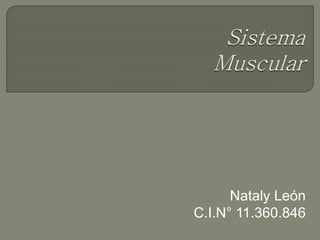 Nataly León
C.I.N° 11.360.846
 