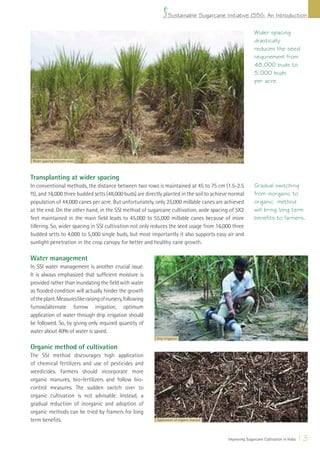 Cane Fallowing Ssi training manual on sugarcane cultivation | PDF