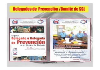 Delegados de Prevención /Comité de SSL




               @seguridadysalud
 