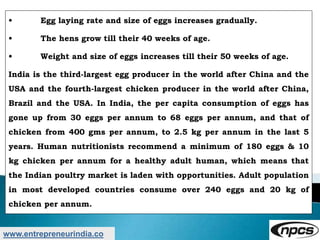 www.entrepreneurindia.co
• Egg laying rate and size of eggs increases gradually.
• The hens grow till their 40 weeks of age.
• Weight and size of eggs increases till their 50 weeks of age.
India is the third-largest egg producer in the world after China and the
USA and the fourth-largest chicken producer in the world after China,
Brazil and the USA. In India, the per capita consumption of eggs has
gone up from 30 eggs per annum to 68 eggs per annum, and that of
chicken from 400 gms per annum, to 2.5 kg per annum in the last 5
years. Human nutritionists recommend a minimum of 180 eggs & 10
kg chicken per annum for a healthy adult human, which means that
the Indian poultry market is laden with opportunities. Adult population
in most developed countries consume over 240 eggs and 20 kg of
chicken per annum.
 