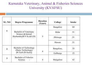 Karnataka Veterinary, Animal & Fisheries Sciences
University (KVAFSU)
SL. NO Degree Programme
Duration
(Years)
College Intake
1 Bachelor of Veterinary
Science &Animal
Husbandry(B.V.Sc.&A.H) 5
Bangalore 60
Bidar 51
Shimoga 51
Hassan 51
2
Bachelor of Technology
(Dairy Technology)
[B.Tech (D.Tech)]
4
Bangalore, 35
Gulbarga 25
3 Bachelor of Fisheries
Science - 4 Mangalore 42
 