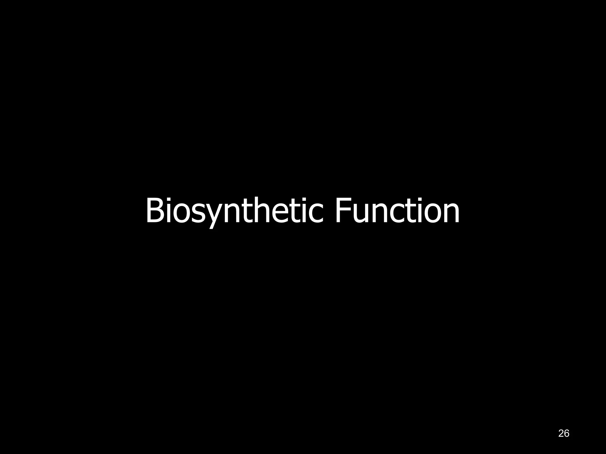 Biosynthetic Function

26

 