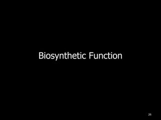 Biosynthetic Function

26

 
