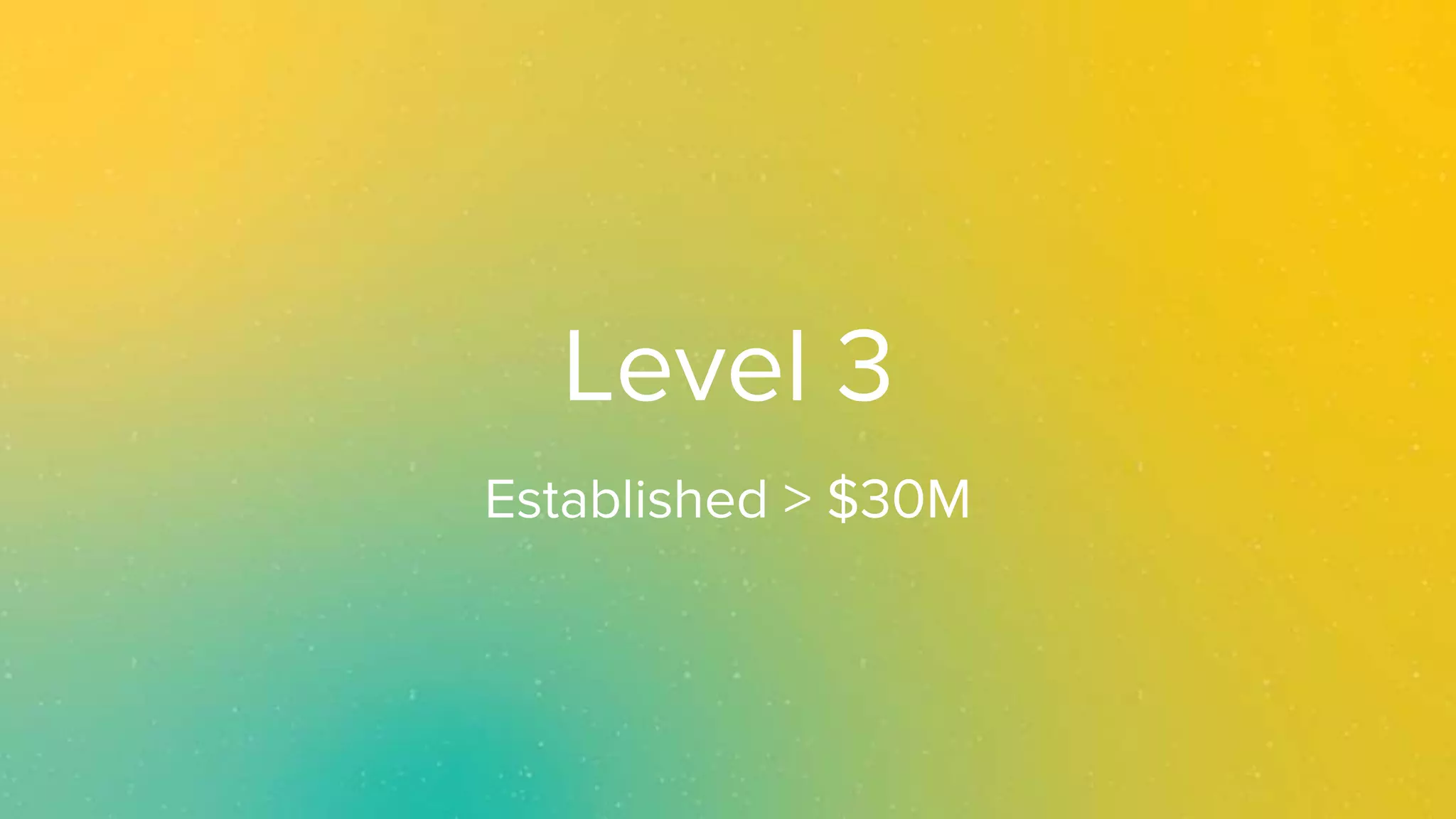 Level 3
Established > $30M
 