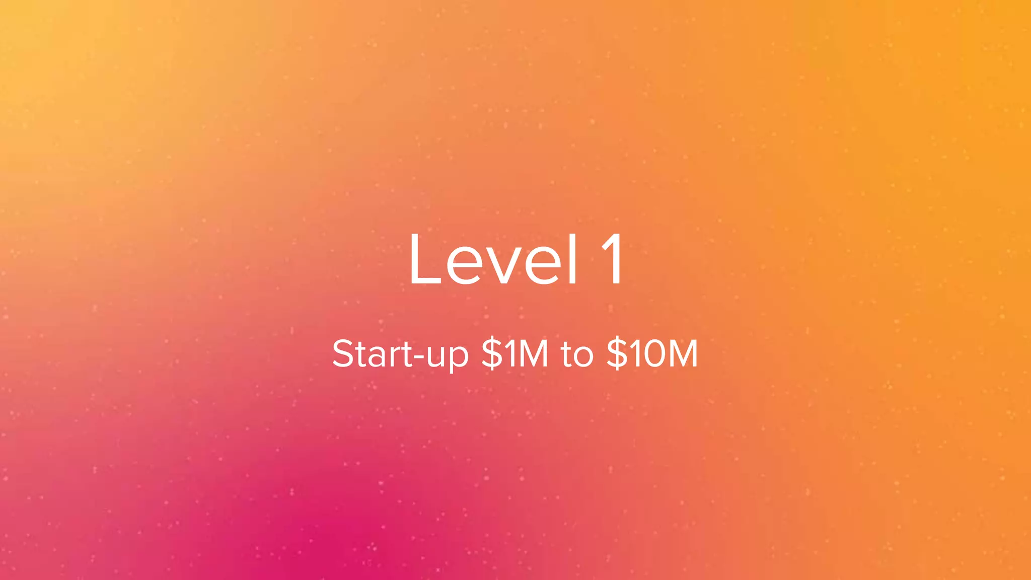 Level 1
Start-up $1M to $10M
 