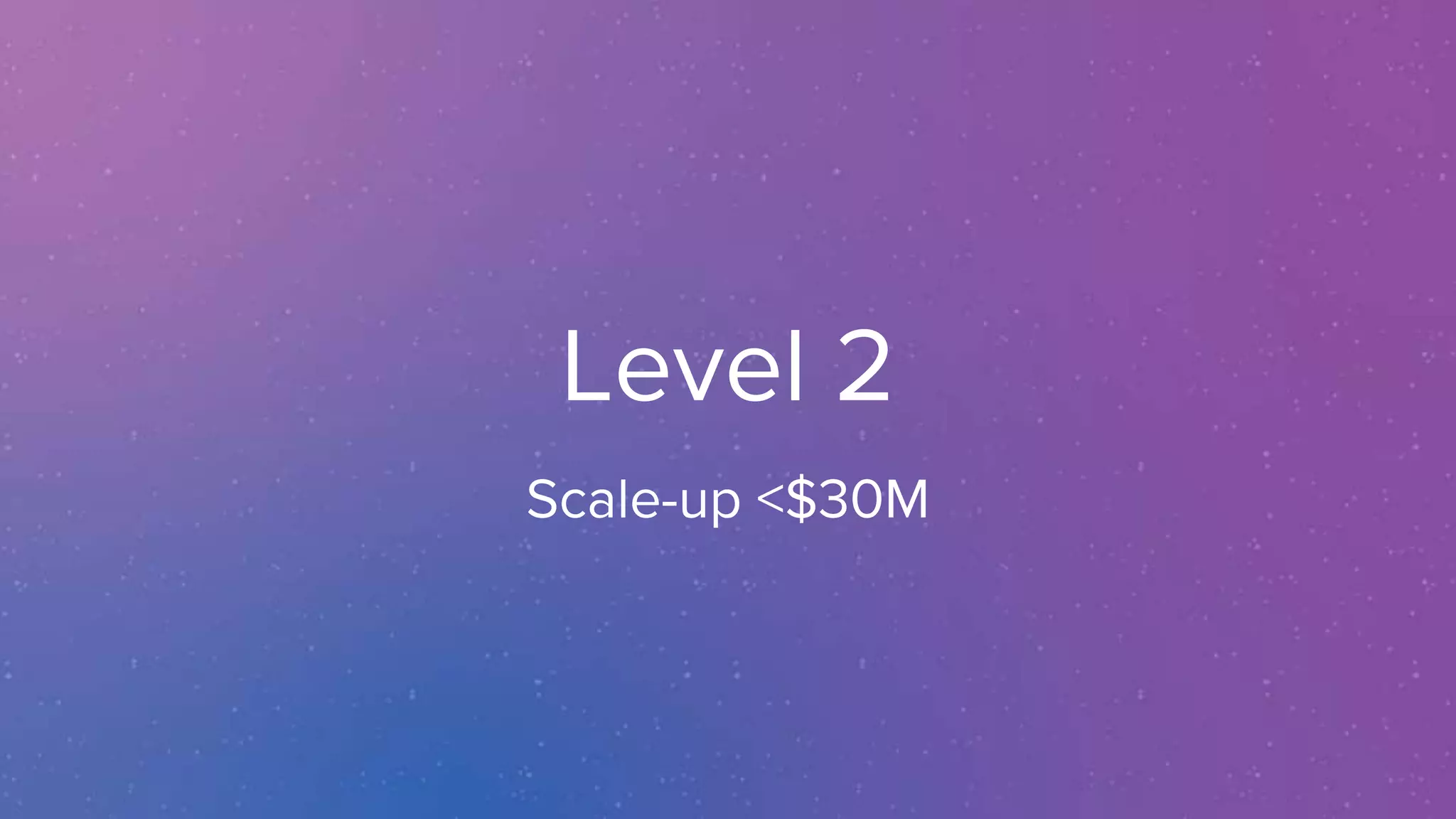 Level 2
Scale-up <$30M
 