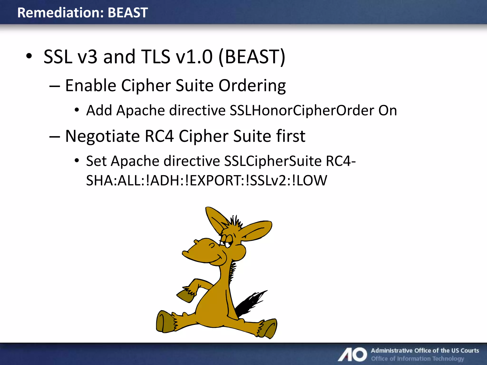 Remediation: BEAST

• SSL v3 and TLS v1.0 (BEAST)
– Enable Cipher Suite Ordering
• Add Apache directive SSLHonorCipherOrder On

– Negotiate RC4 Cipher Suite first
• Set Apache directive SSLCipherSuite RC4SHA:ALL:!ADH:!EXPORT:!SSLv2:!LOW

 