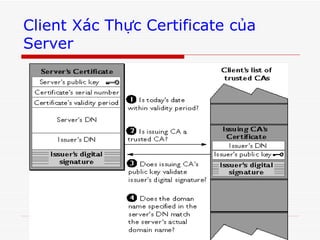 Client Xác Thực Certificate của Server 