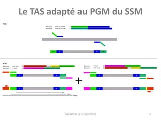SSM-NTS#5 v1.0 31/05/2013 10
Le TAS adapté au PGM du SSM
 