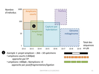 1
10
100
1000
1E+2 1E+3 1E+4 1E+5 1E+6 1E+7 1E+8 1E+9
Génome
métagénome
Capture par
hybridation
RadSeqAmplicons
courts
Amplicons
longs
Nombre
d’individus
Total des
séquences
en pb
Exemple 1: projet amplicon – 3kb – 50 spécimens
• amplicons courts (<400pb)
approche par FP
• amplicons >400pb ; Namplicons <5
approche par pool/fragmentation/ligation
1
1
12SSM-NTS#5 v1.0 31/05/2013
 