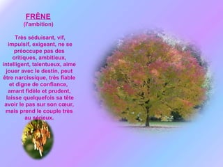 FRÊNE   (l'ambition)  Très séduisant, vif, impulsif, exigeant, ne se préoccupe pas des critiques, ambitieux, intelligent, talentueux, aime jouer avec le destin, peut être narcissique, très fiable et digne de confiance,  amant fidèle et prudent, laisse quelquefois sa tête avoir le pas sur son cœur, mais prend le couple très au sérieux. 