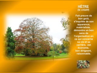 HÊTRE   (le créatif)  Fait preuve de bon goût, s'inquiète de son apparence, matérialiste,  démontre un bon sens de l'organisation en ce qui concerne sa vie et sa carrière,  est économe,  bon dirigeant,  raisonnable. 