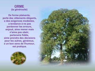 ORME   (la générosité)  De forme plaisante,  porte des vêtements élégants,  a des exigences modestes,  a tendance à ne pas pardonner les erreurs,  enjoué, aime mener mais n'aime pas obéir,  partenaire fidèle,  aime prendre des décisions pour les autres, généreux,  a un bon sens de l'humour,  est pratique. 