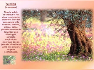 OLIVIER (la sagesse)  Aime le soleil,  la chaleur et les doux  sentiments, équilibré, évite les agressions et la violence, tolérant, enjoué, calme, possède un sens de la justice bien développé, sensible, emphatique, n'éprouve pas de jalousie, aime lire et aime être entouré de gens sophistiqués. 