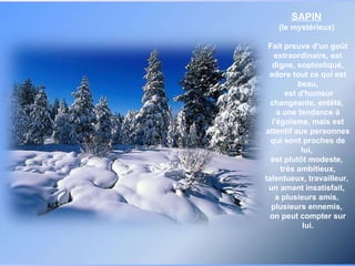 SAPIN   (le mystérieux)  Fait preuve d'un goût extraordinaire, est digne, sophistiqué, adore tout ce qui est beau, est d'humeur changeante, entêté,  a une tendance à l'égoïsme, mais est attentif aux personnes qui sont proches de lui,  est plutôt modeste,  très ambitieux, talentueux, travailleur,  un amant insatisfait,  a plusieurs amis,  plusieurs ennemis,  on peut compter sur lui. 