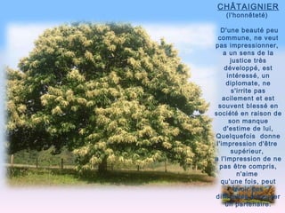 CHÂTAIGNIER   (l'honnêteté)  D'une beauté peu commune, ne veut pas impressionner,  a un sens de la justice très développé, est intéressé, un diplomate, ne s'irrite pas acilement et est souvent blessé en société en raison de son manque d'estime de lui, Quelquefois  donne l'impression d'être  supérieur,  a l'impression de ne pas être compris, n'aime  qu'une fois, peut avoir des difficultés à trouver un partenaire. 