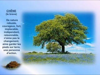 CHÊNE   (le brave)  De nature robuste, courageux, fort, implacable, indépendant, raisonnable,  n'aime pas le changement,  aime garder les pieds sur terre,  une personne d'action. 