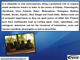www.entrepreneurindia.co
It is adaptable to arid environments, being a prominent tree in tropical
mixed deciduous forests ...