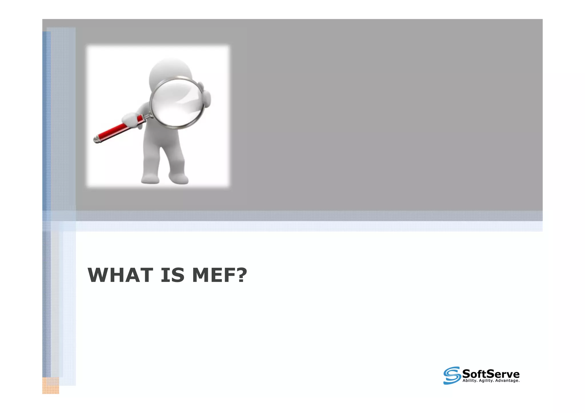 WHAT IS MEF?
 