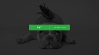 반려동물에 소비하다
 