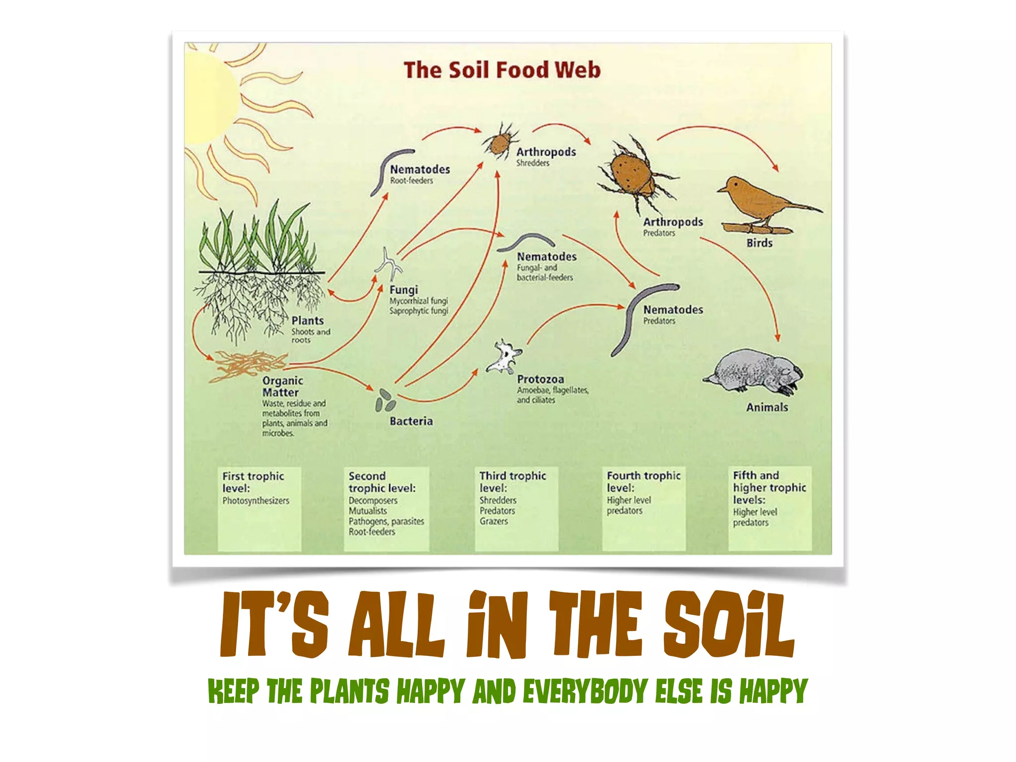 It’S ALl iN ThE SOil 
KEeP ThE PlAnTs hApPy aNd eVeRyBoDy eLsE Is hApPy 
 