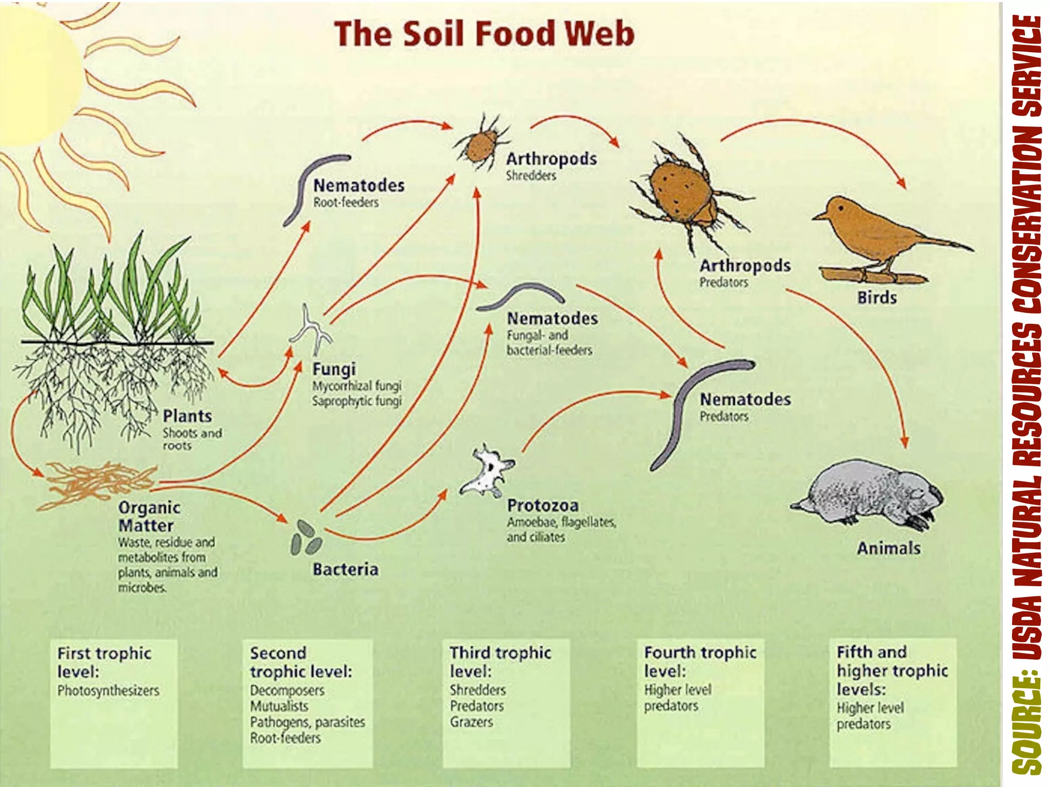 SOuRce: uSdA NAtUrAl rEsOuRcEs cOnSeRvAtIoN SeRvIce 
 