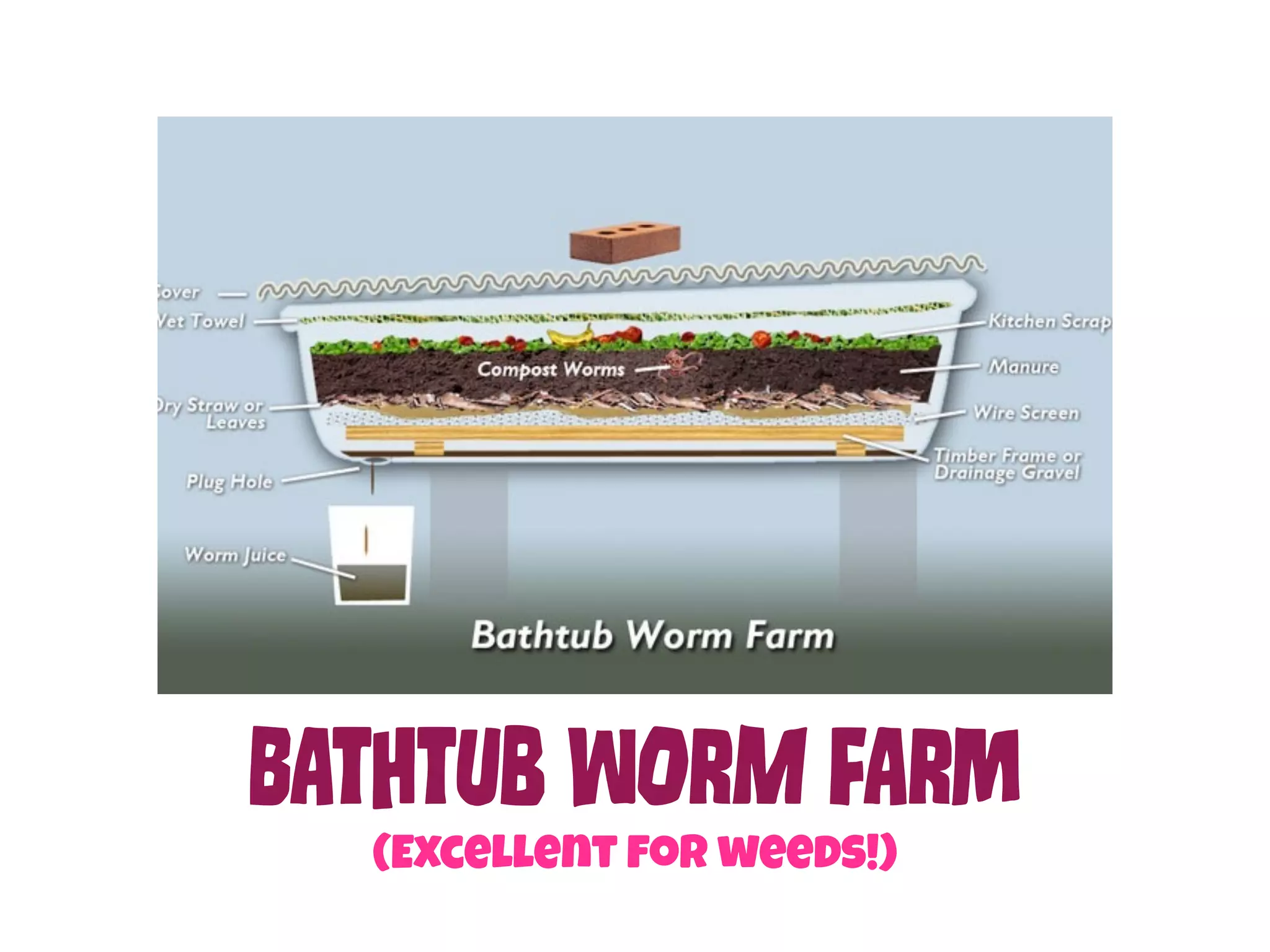 BAtHtUb WOrM FArm 
(Excellent for weeds!) 
 