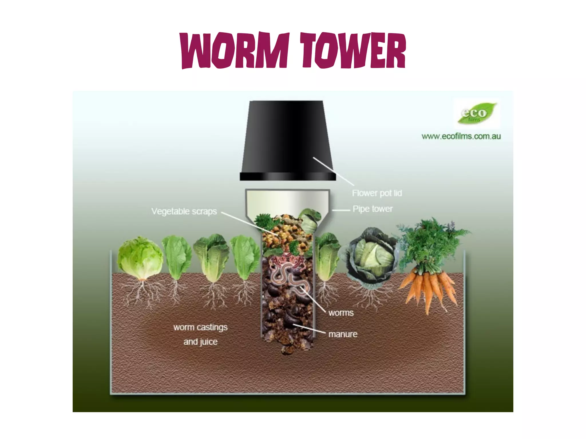 WOrM TOwEr 
 