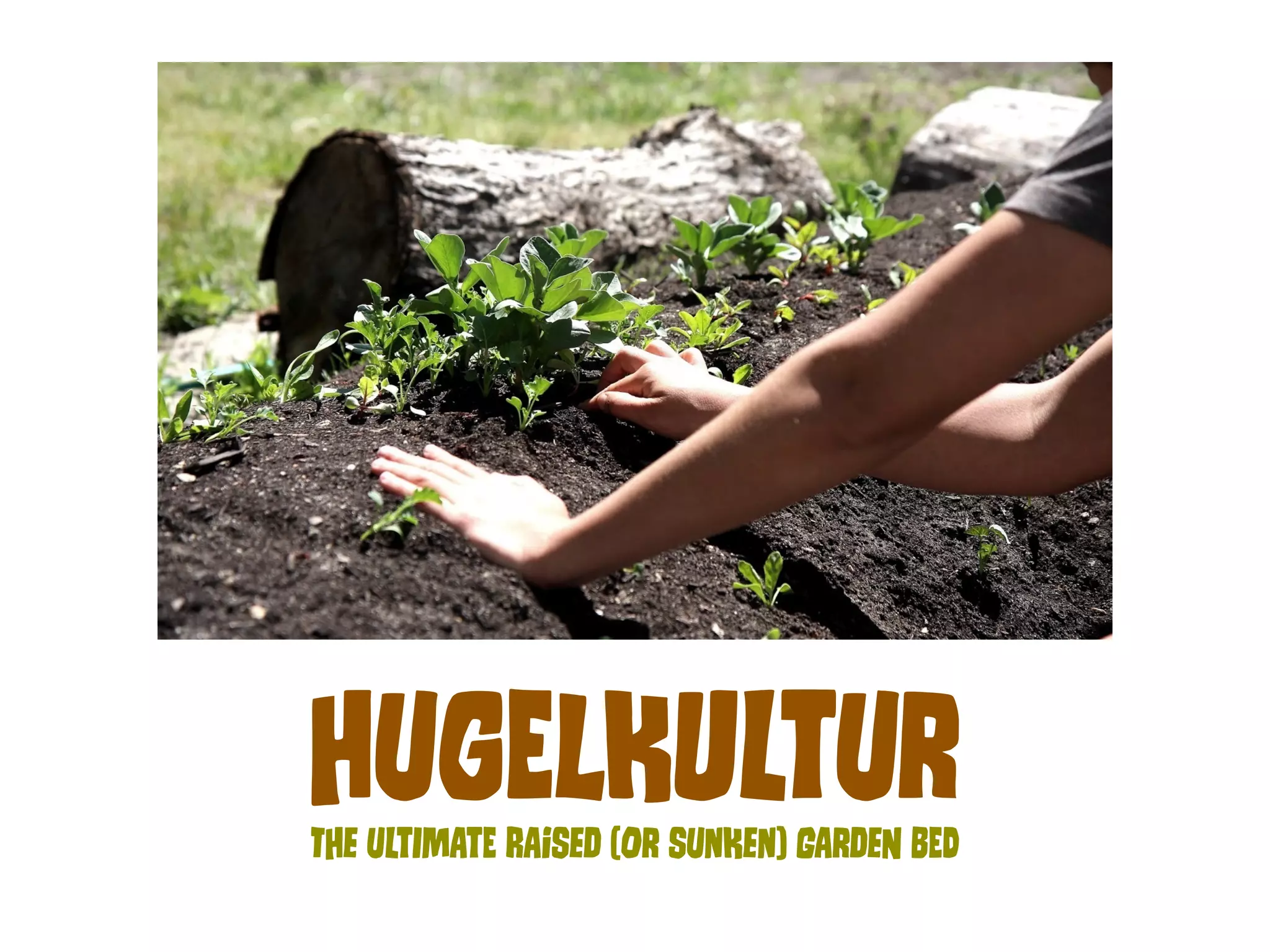 HUgElKuLtUr 
THe ULtImAtE RAiSeD (Or SUnKen) GArDeN BEd 
 