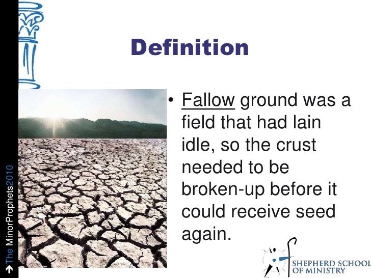 Ssm minor prophets hosea slides 082210