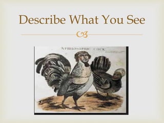 
Describe What You See
 