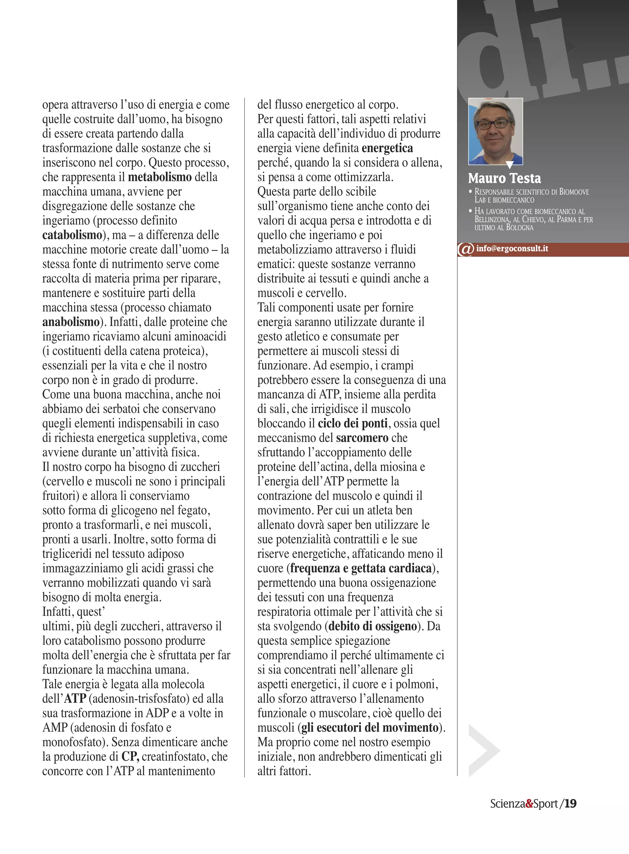 Canotta Uomo In Rete Elastica – Traspirante, Senza Maniche, Semitrasparente – Per Fitness E Spiaggia