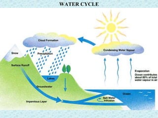 WATER CYCLE
 